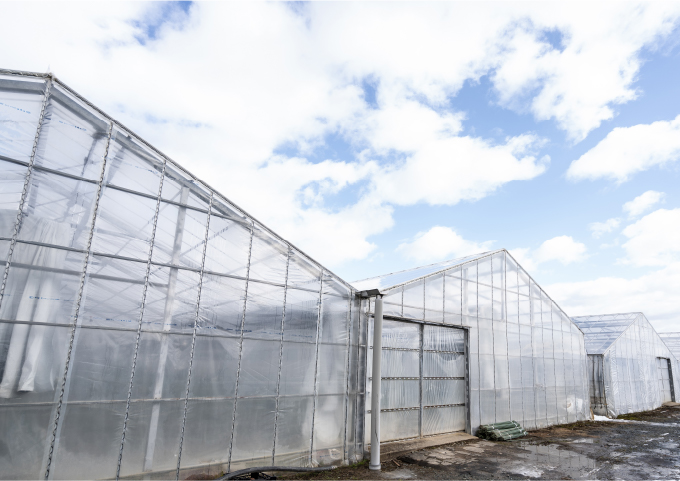 栽培ハウス